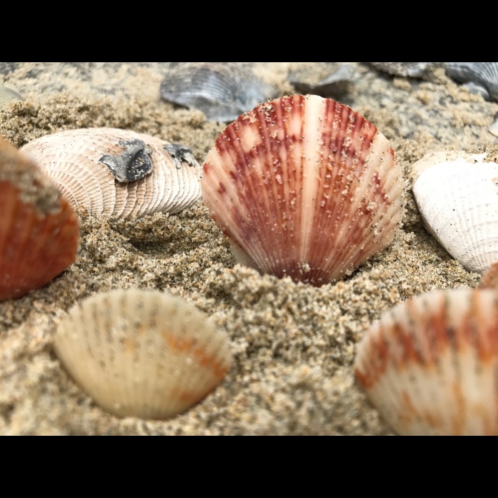 Meet your Posher, Moriah